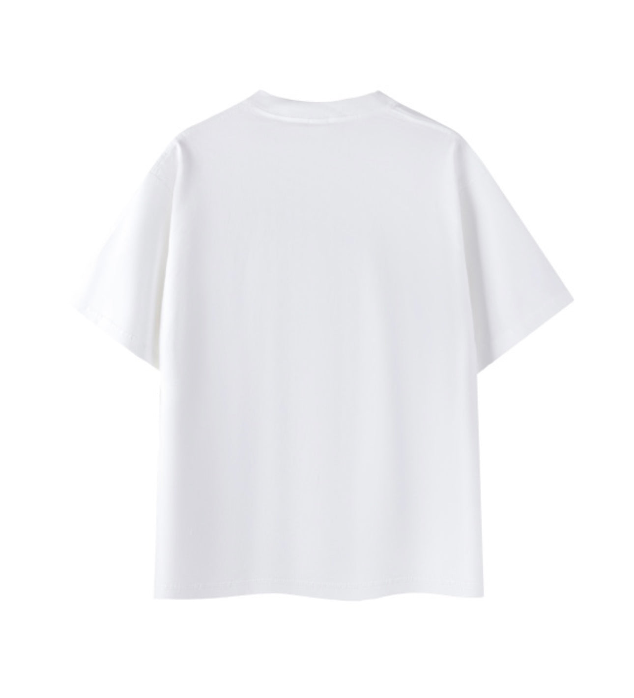 Blank Tees(Thick)(2 colorways)