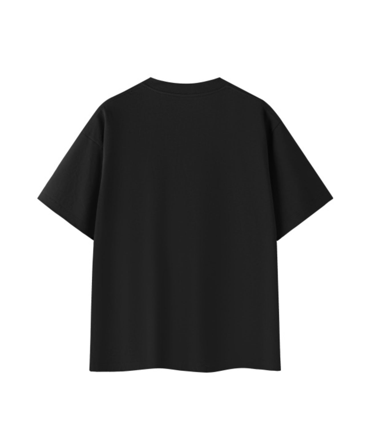 Blank Tees(Thick)(2 colorways)